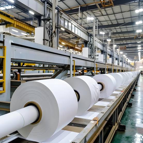Paper rolls on conveyor line