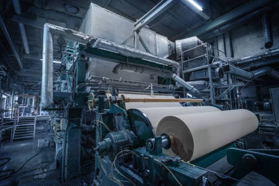 Paper roll on an industrial production line