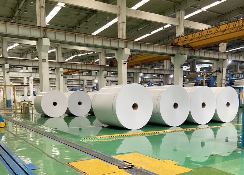Large paper rolls stored in warehouse